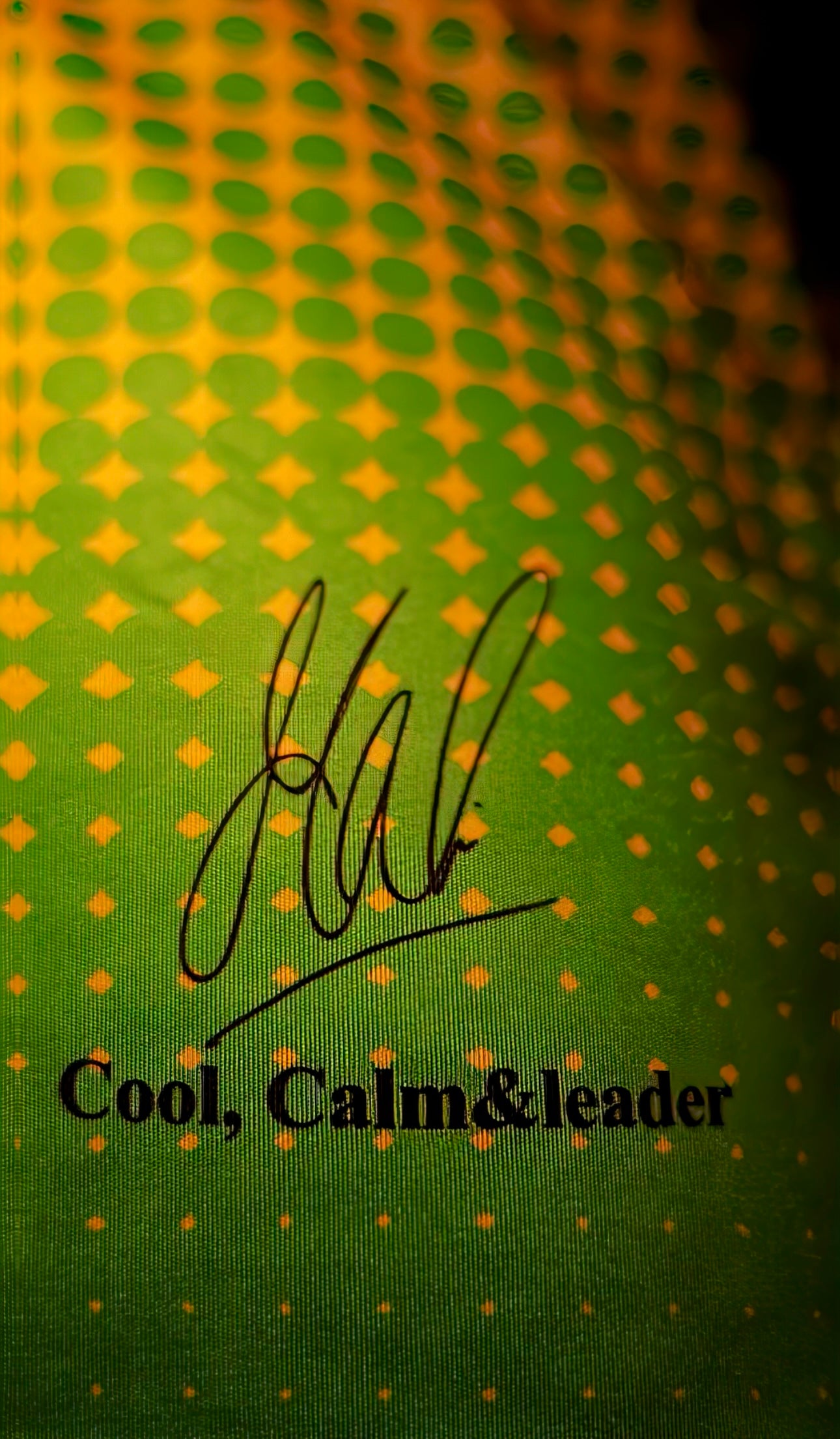 MS Dhoni Tribute Jersey by Willi Walk