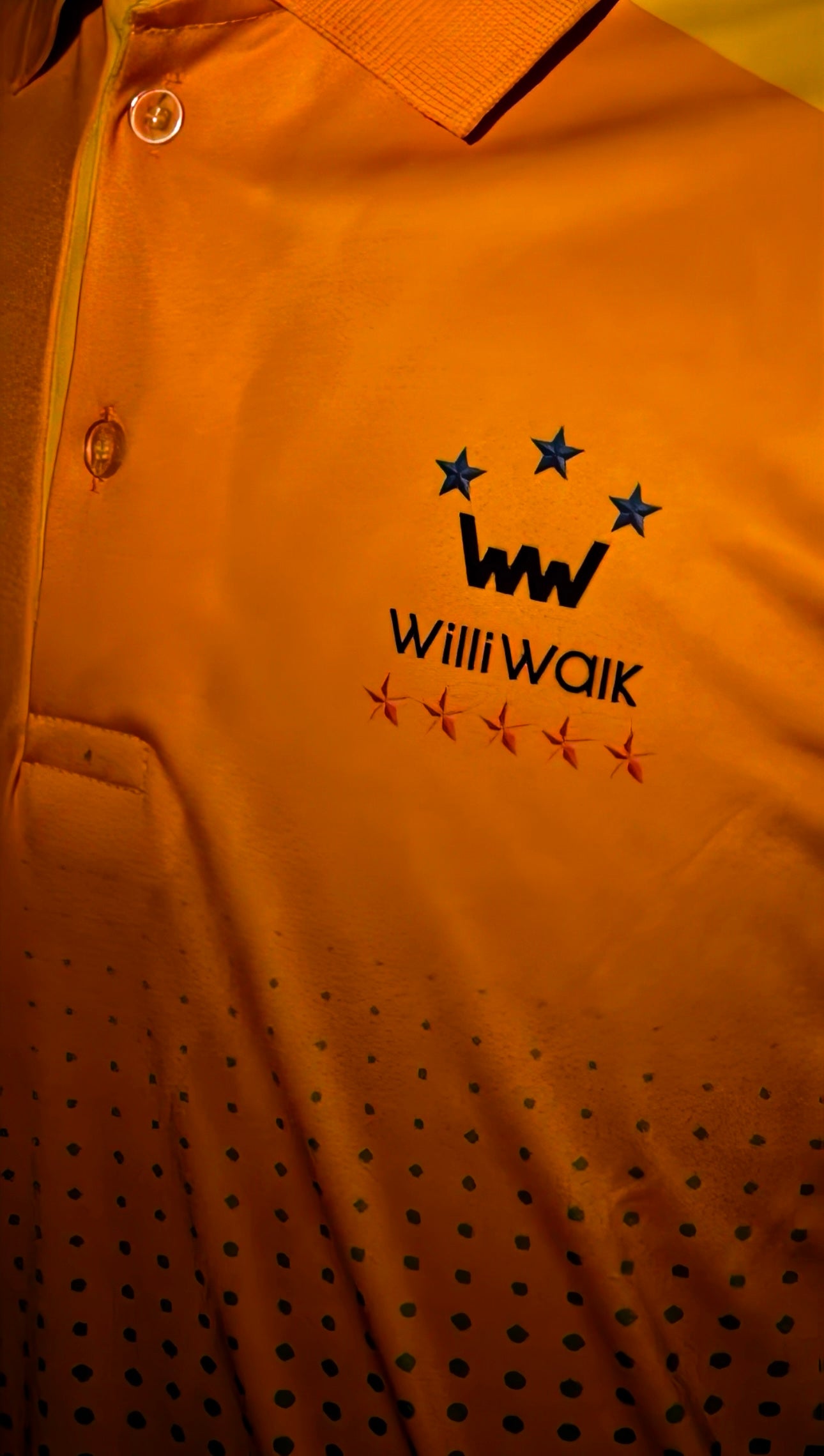 MS Dhoni Tribute Jersey by Willi Walk