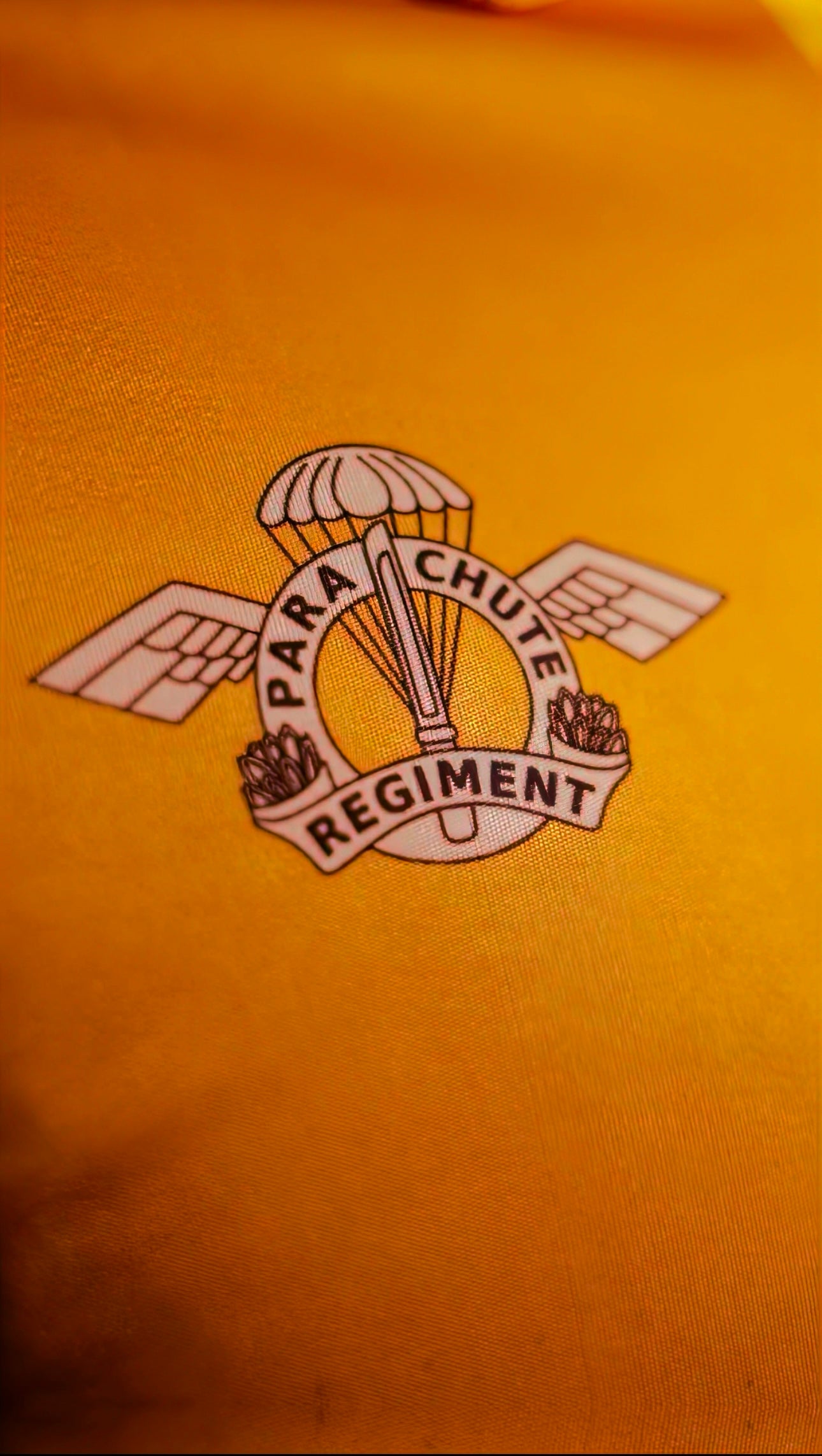 MS Dhoni Tribute Jersey by Willi Walk